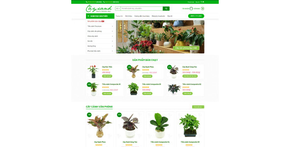 Theme wordpress cây xanh 01